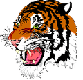 Tigers mascot photo.