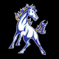 Mustangs mascot photo.