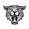 WILDCATS mascot photo.