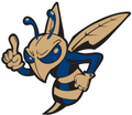 Hornets mascot photo.