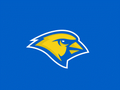 Canaries mascot photo.