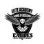 Elite Academy  