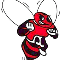 Bees mascot photo.