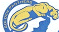 Golden Panthers mascot photo.