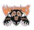 Wolverines mascot photo.