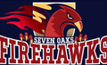 Firehawks mascot photo.