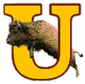 Buffaloes mascot photo.