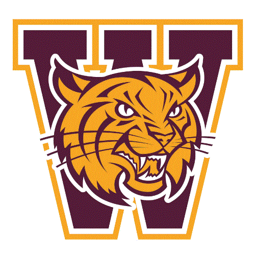 Weymouth High softball rallies for win