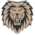 Lions mascot photo.