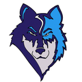 Timberwolves mascot photo.