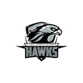 HAWKS mascot photo.