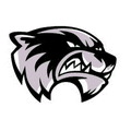 Wolverines mascot photo.