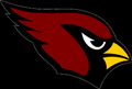 Cardinals mascot photo.