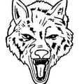 Wolves mascot photo.