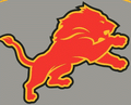Lions mascot photo.