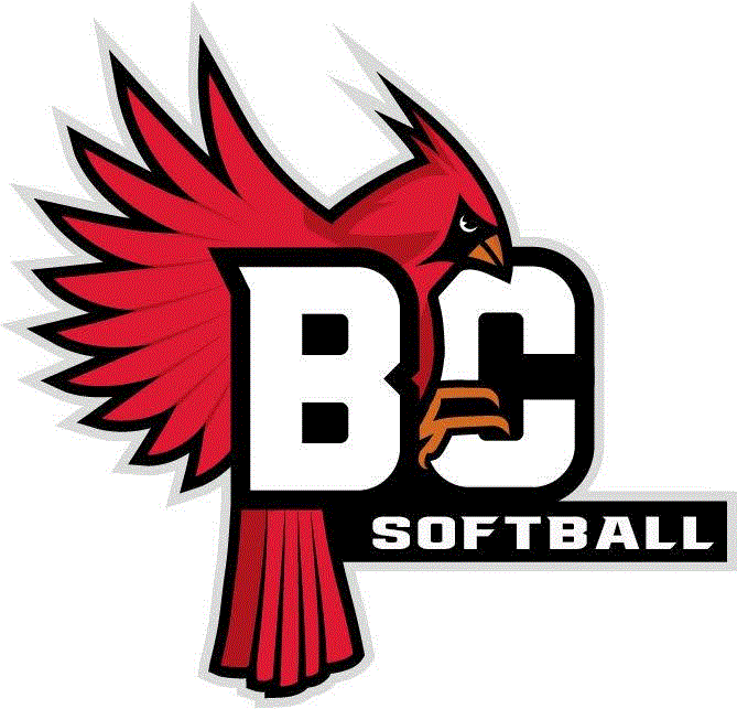 Hannah Krohn High School Volleyball Stats Boone Central/Newman Grove