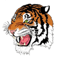 Tigers mascot photo.