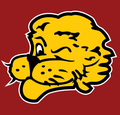 Lions mascot photo.