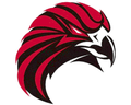 Falcons mascot photo.