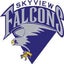 Skyview High School 