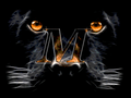 Black Panthers mascot photo.