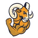 SmartEn Sports Academy