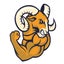 SmartEn Sports Academy