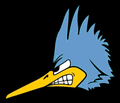 Roadrunners mascot photo.