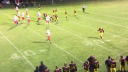 Michigan Lutheran Seminary football highlights Reese
