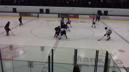 Mankato West ice hockey highlights vs. Albert Lea High