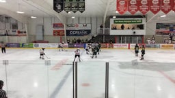 Chippewa Falls girls ice hockey highlights Rochester Mayo High School