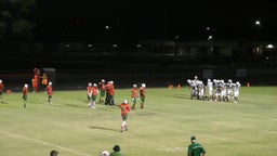 Seminole football highlights Dixie Hollins High School