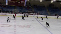 Sartell-St. Stephen girls ice hockey highlights vs. Moorhead High School