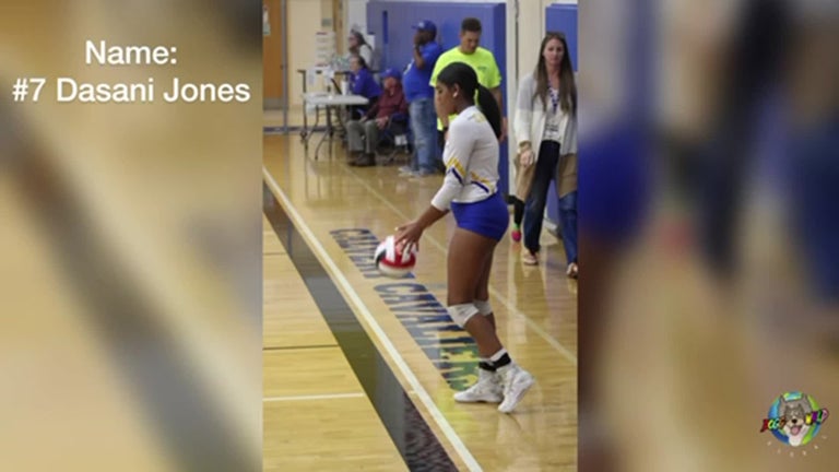 Video player poster image