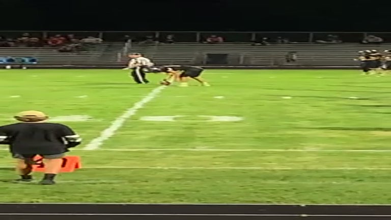 Video player poster image