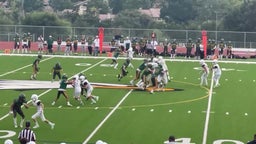 One of many TFL by the Defense