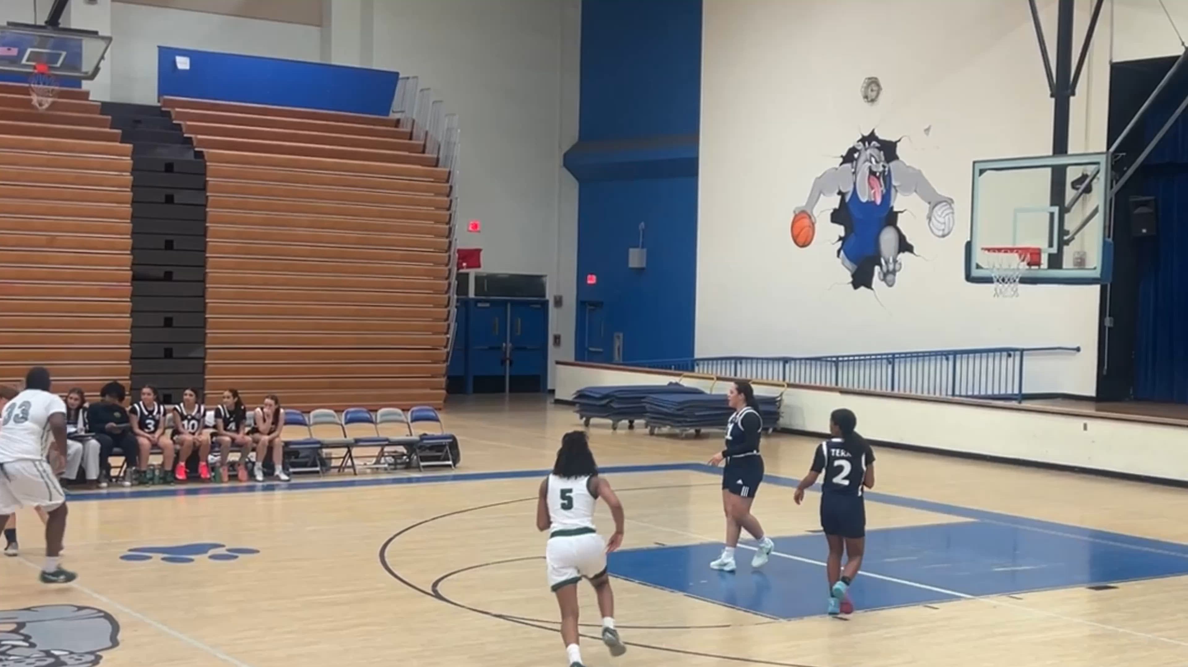 Rayna Benoit 2025 Preseason Highlights