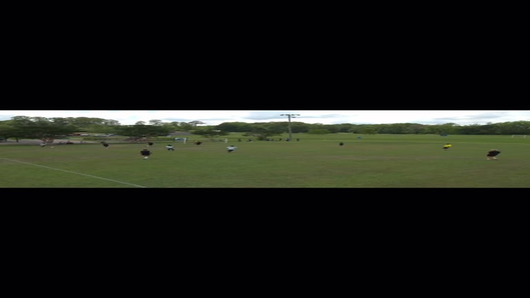 Video player poster image