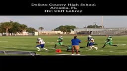 DeSoto County High (Bulldogs) Spring Game