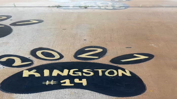 Video player poster image