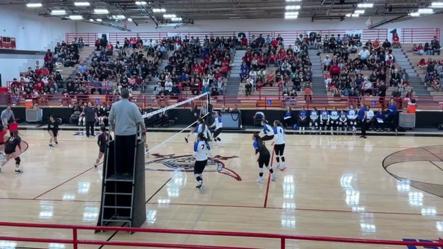 Setter #4 c/o 2026