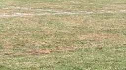 Newburgh Freshman football vs New Rochelle touchdown