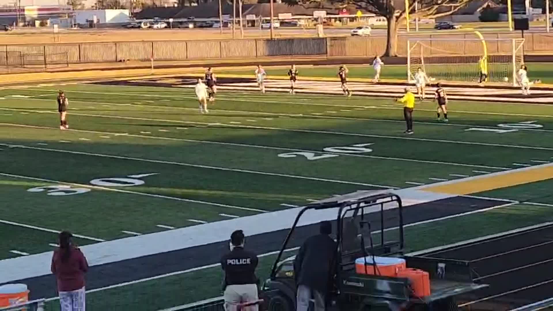 Dominique R.  Castillo