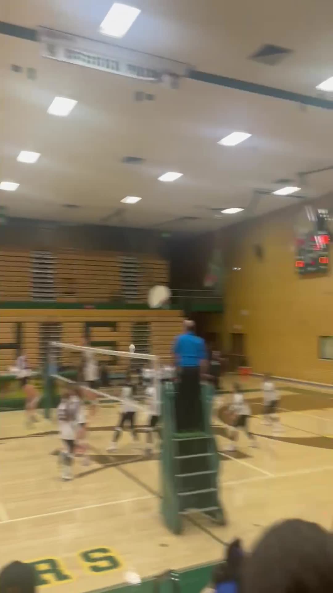 Set to Taylor Freeland