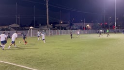 Davinci wolves on the attack