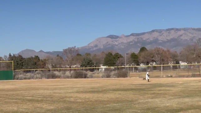 Triple down rf line