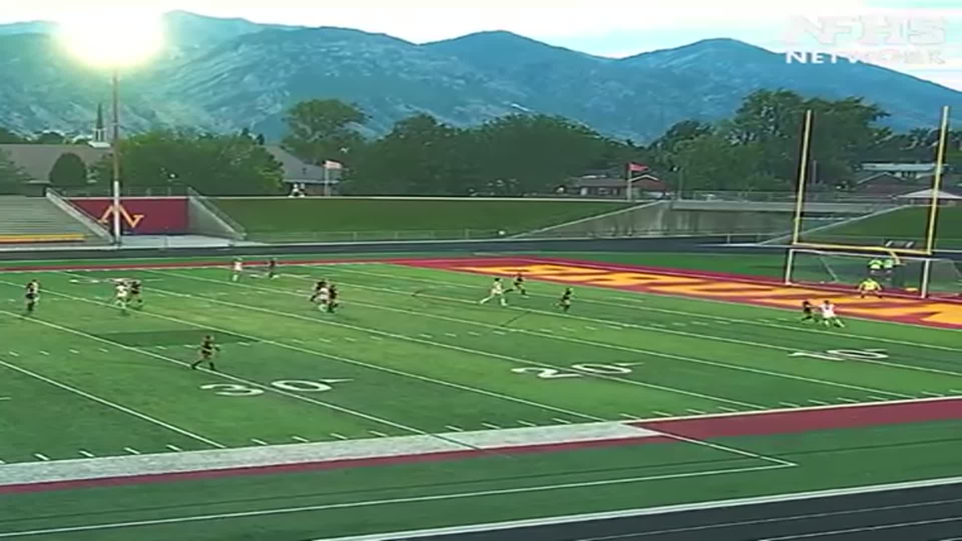 Goal VS Mountain View