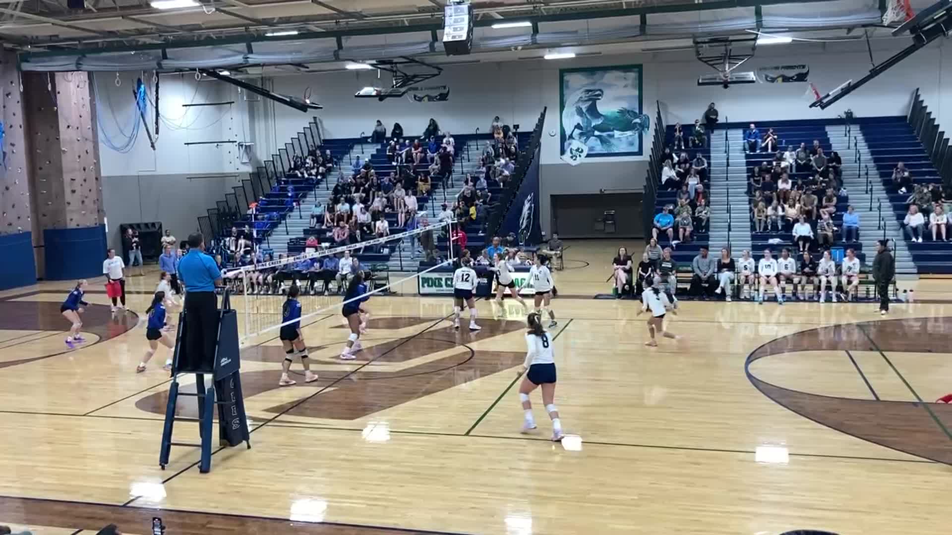 Dive & Dig by #4 Bella Desimone