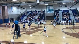 Dive & Dig by #4 Bella Desimone