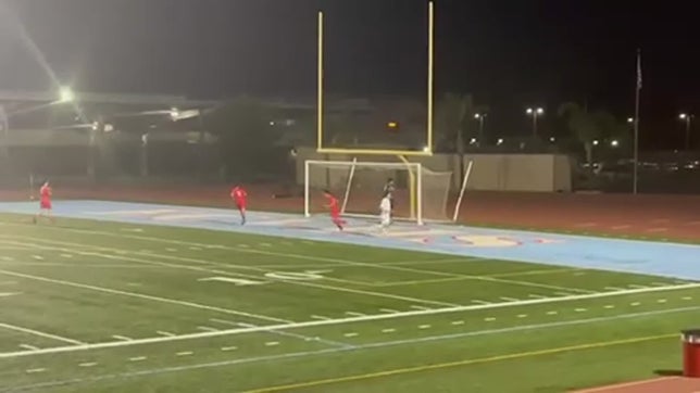 Goal by Alonso "Bicho" Vega